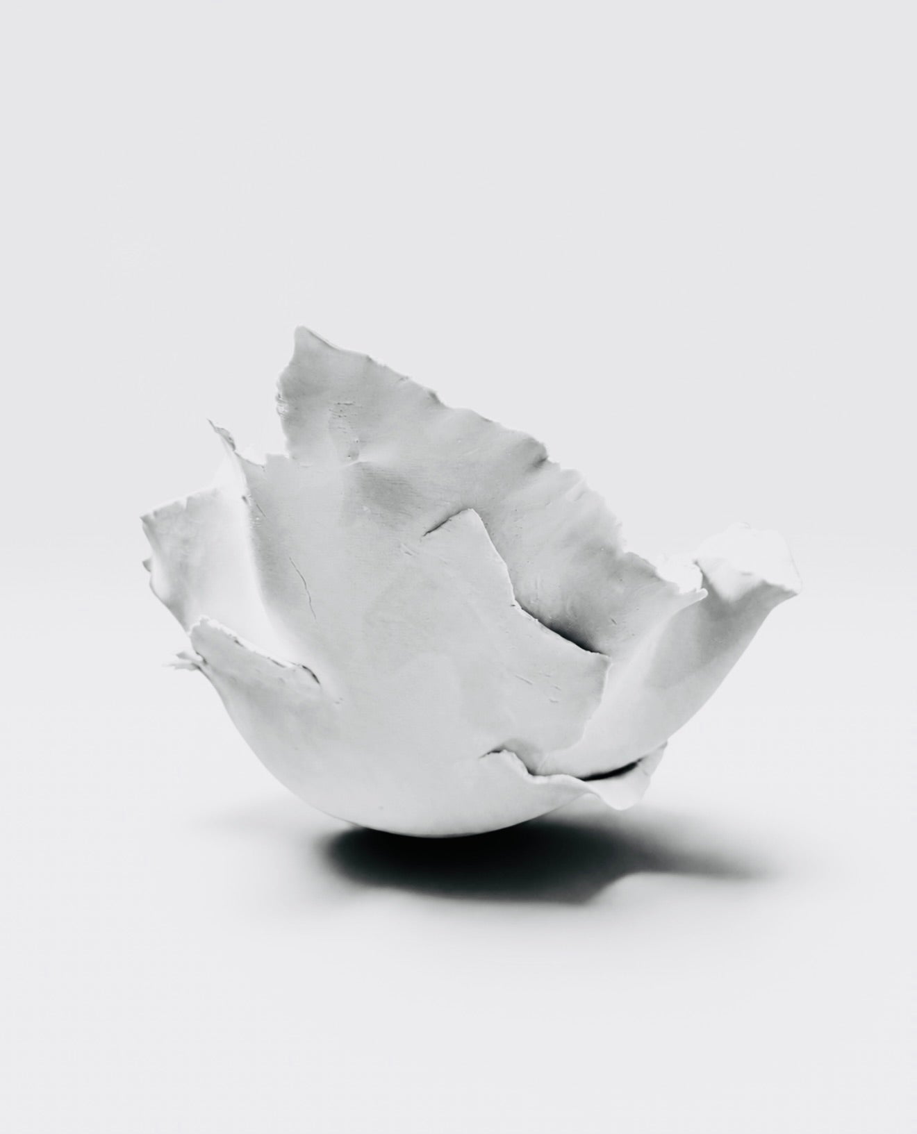 PORCELAIN BOWL N 2