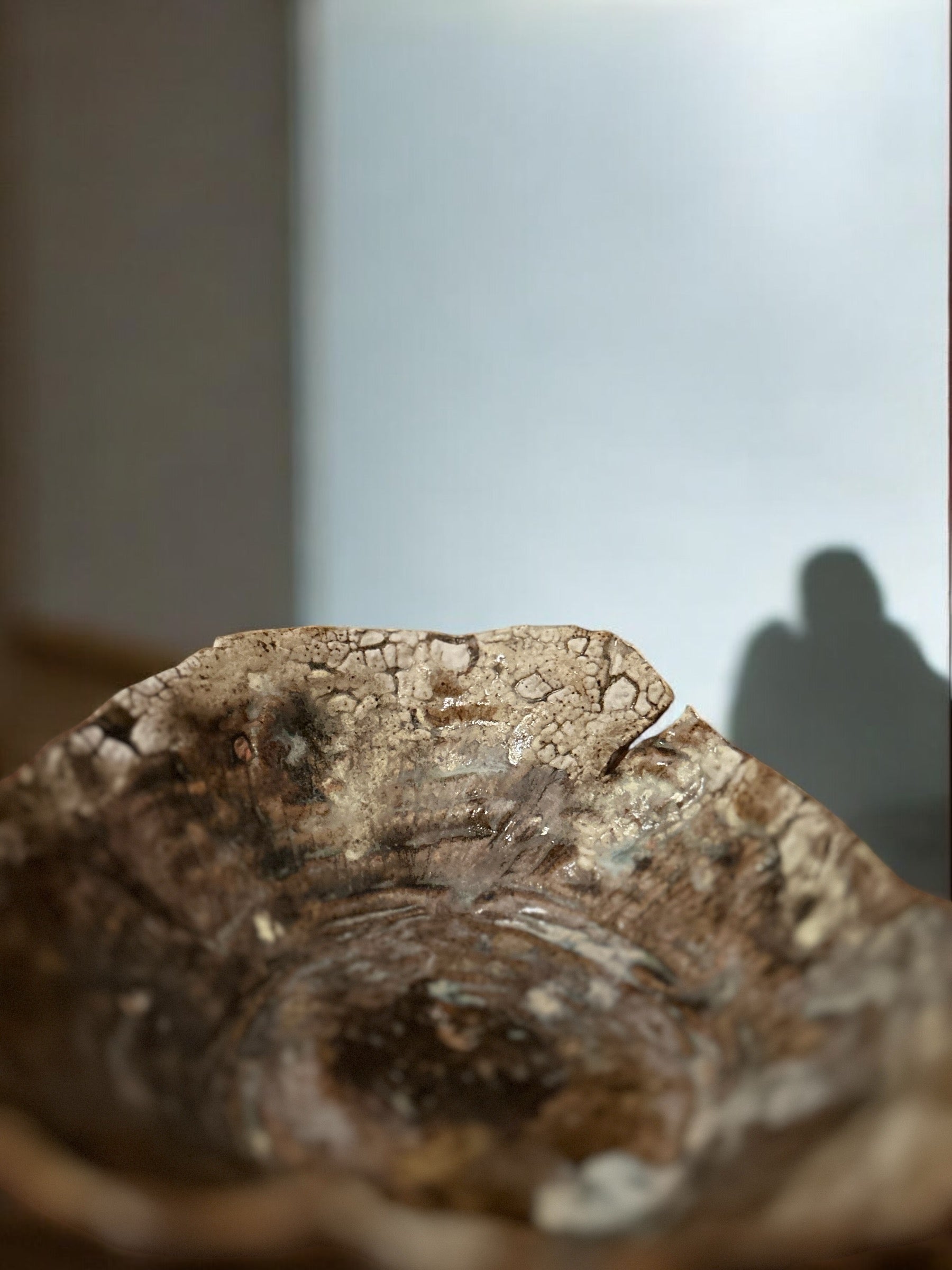 CERAMIC BOWL - CRAKLED